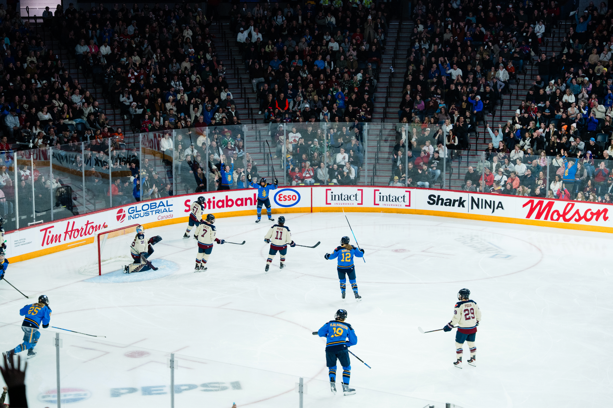 A wide-view shot of Toronto celebrating their goal. One player is in the corner with her arms raised, as the others skate toward her for a group hug. Montréal players dot the zone. The Sceptres are wearing blue home uniforms, while the Victoire are in cream away ones.