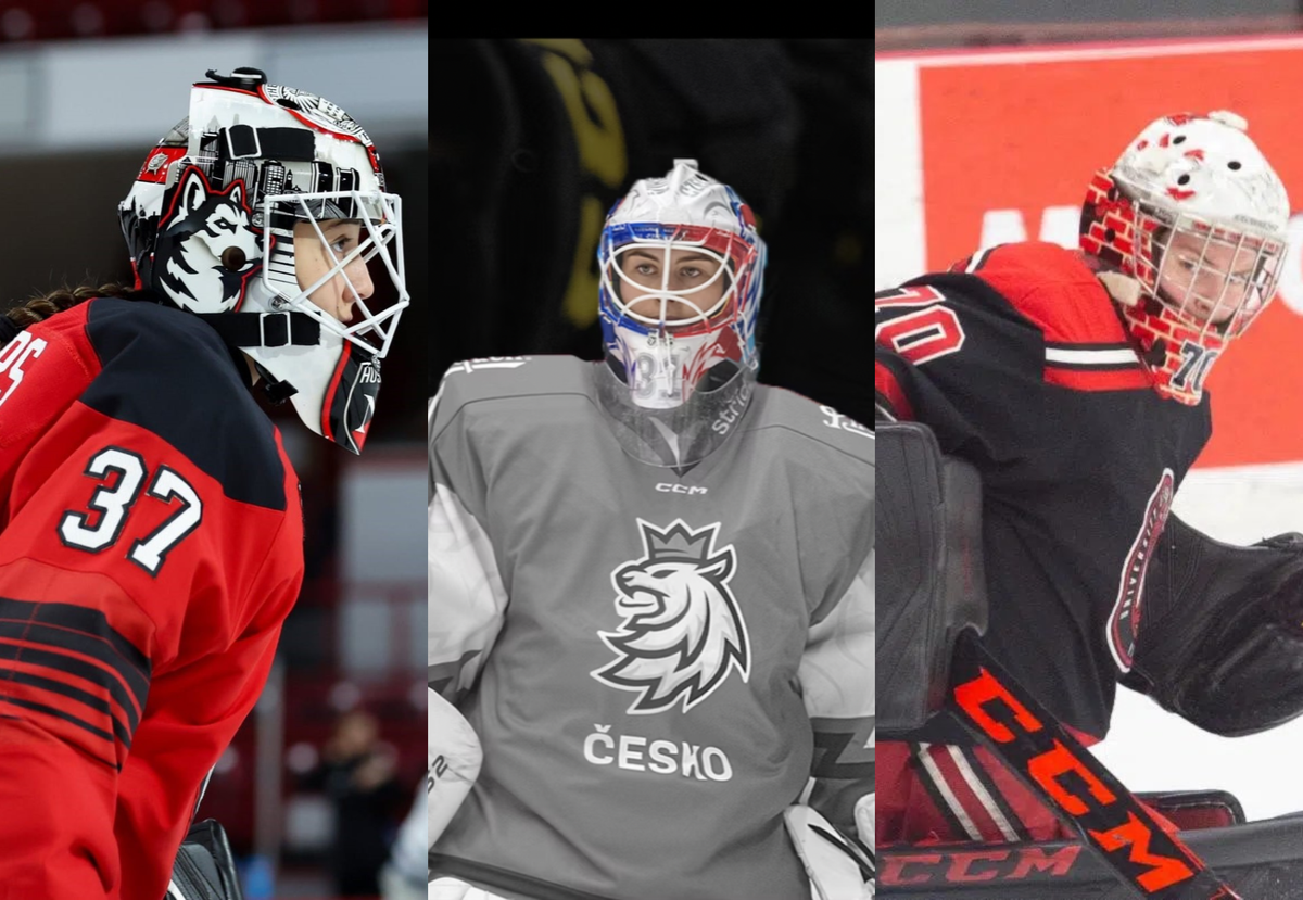 The One-Stop Shop for 2023-24 NCAA, SDHL, and USports Statistics