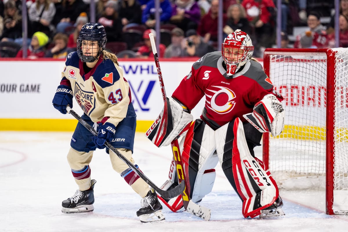 A Tale of Two Expansion Teams Part II: The Goalies