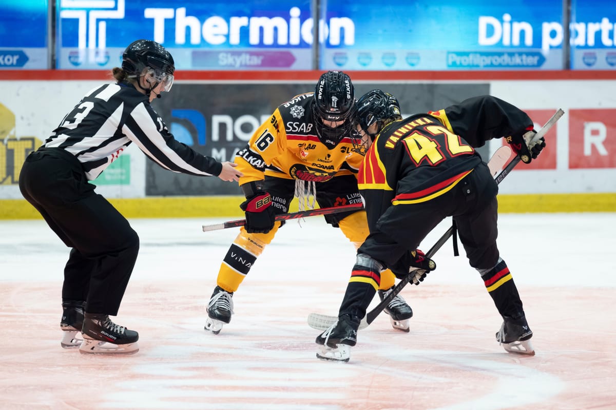 SDHL Halfway Check-In: Part 2 (5-1)