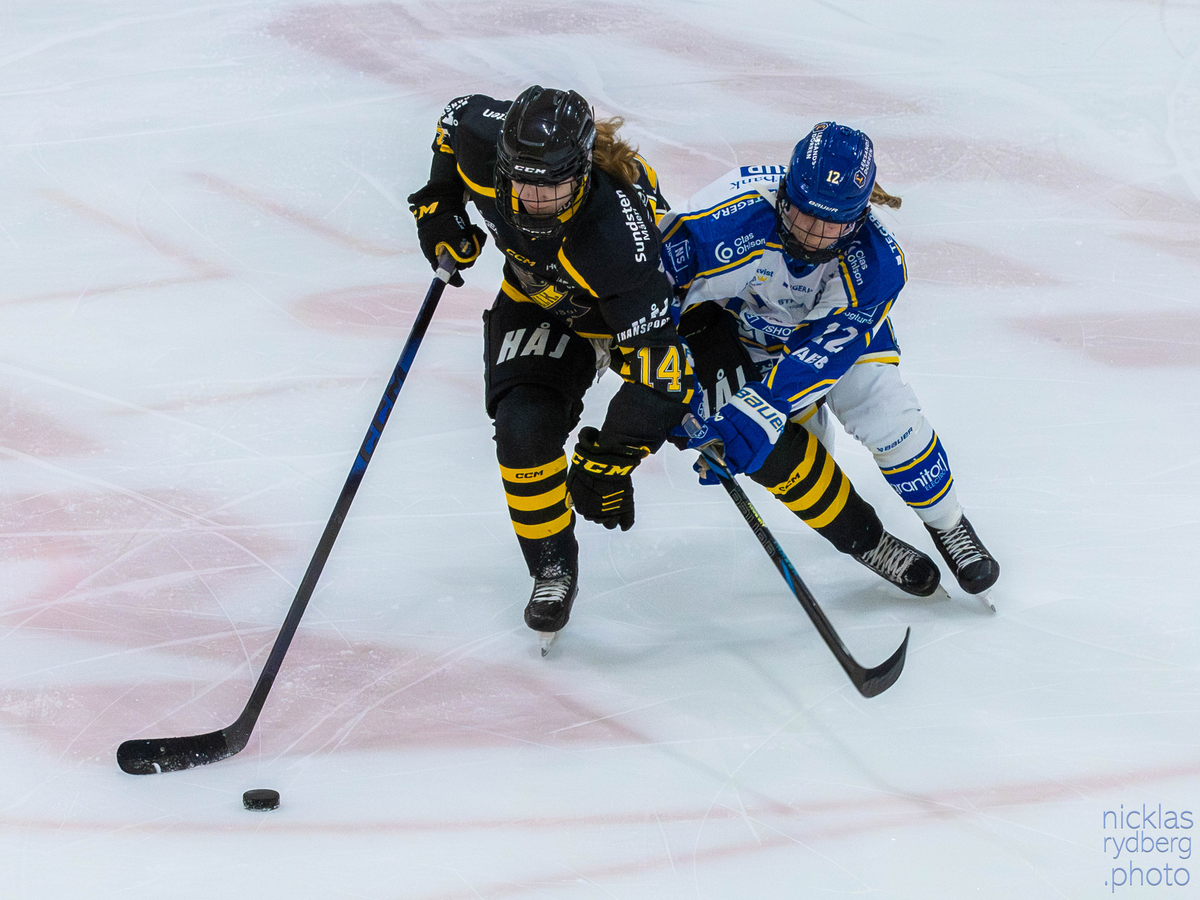 An NDHL Overview and Mid-Season Check-In