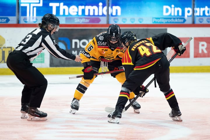 SDHL Halfway Check-In: Part 2 (5-1)